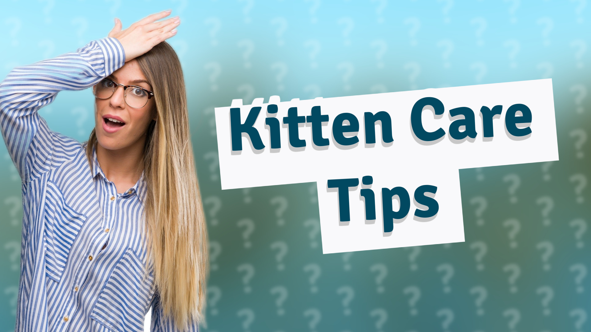 Kitten Care Tips