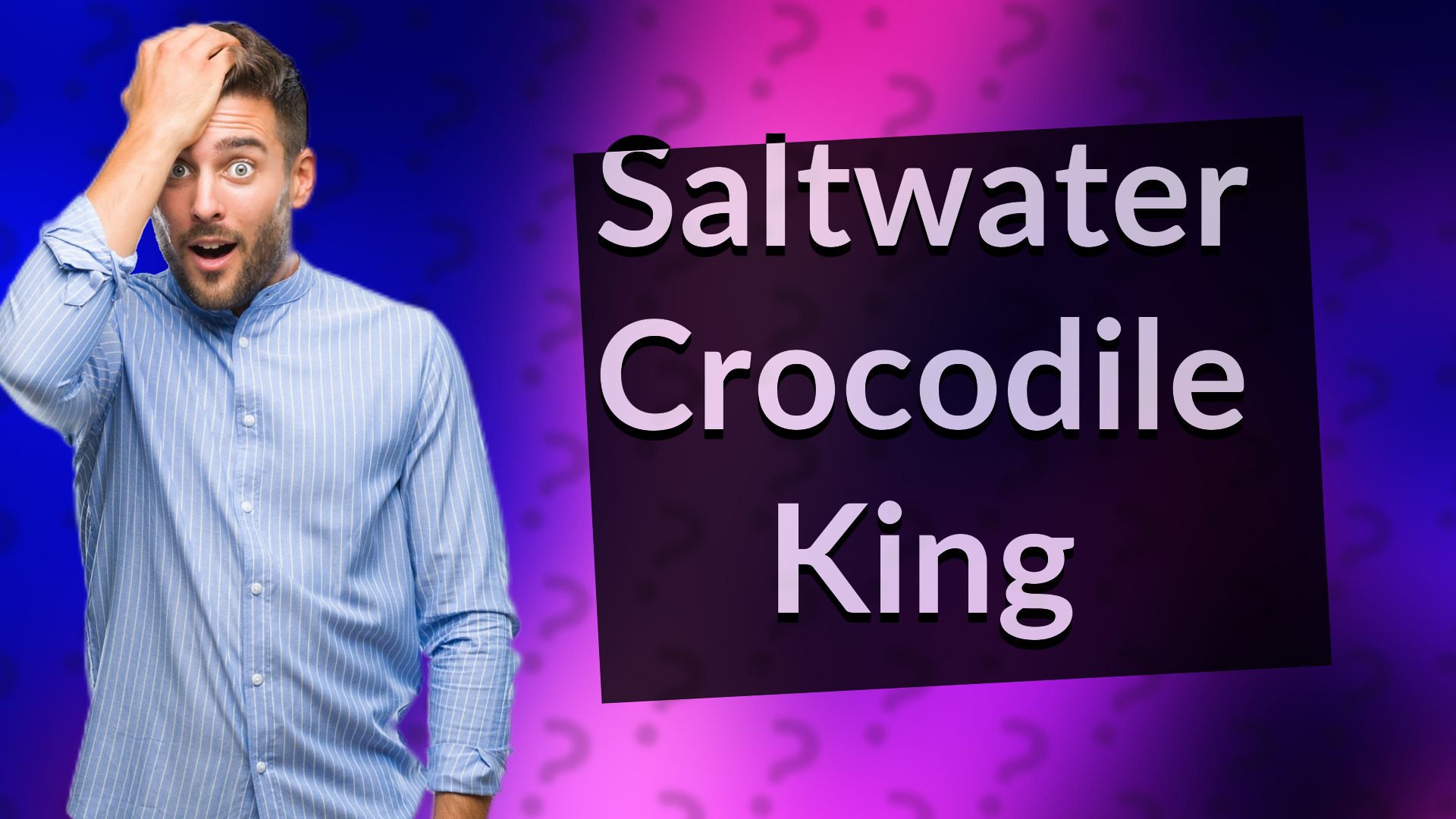 Saltwater Crocodile King