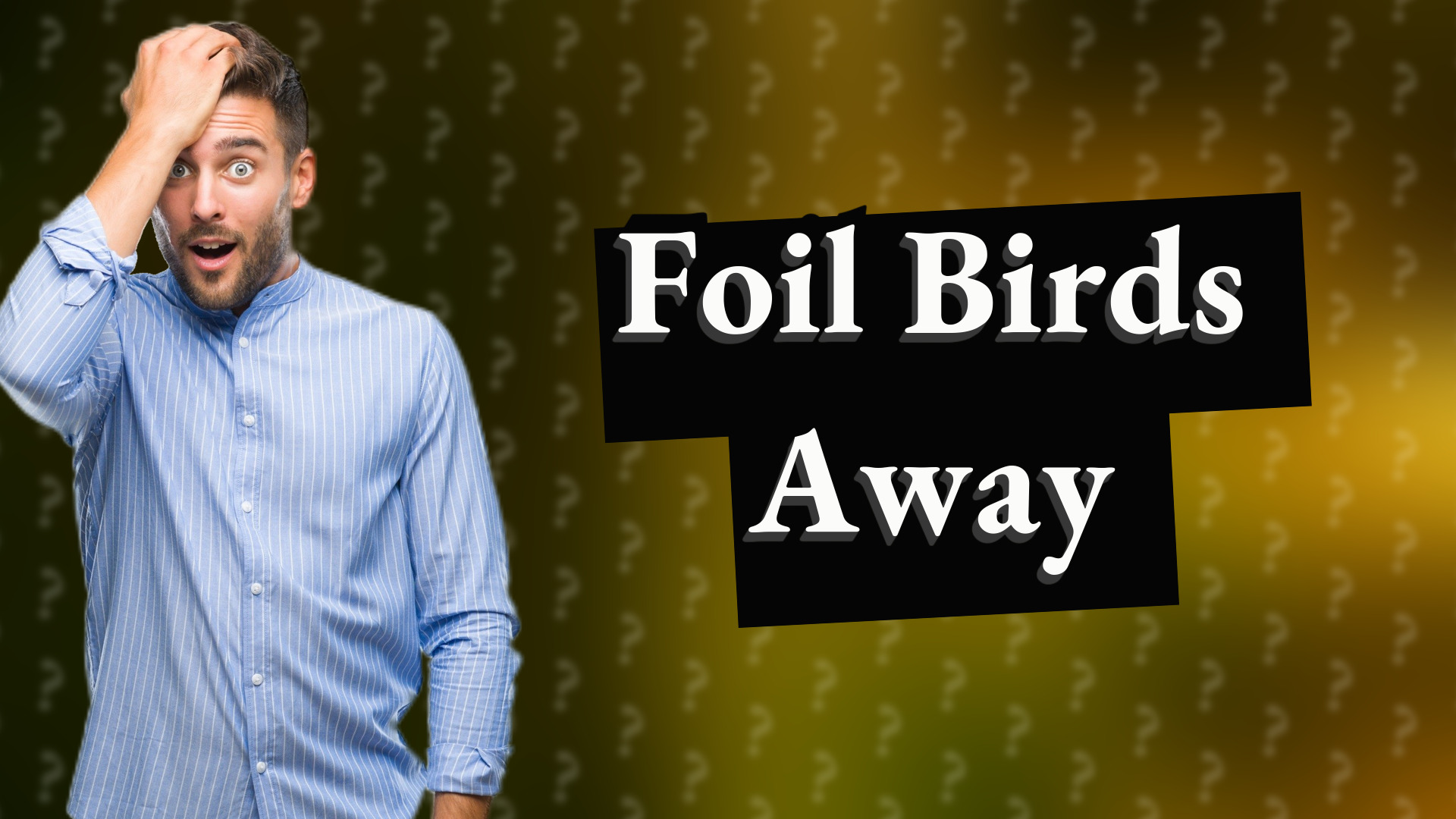 Foil Birds Away