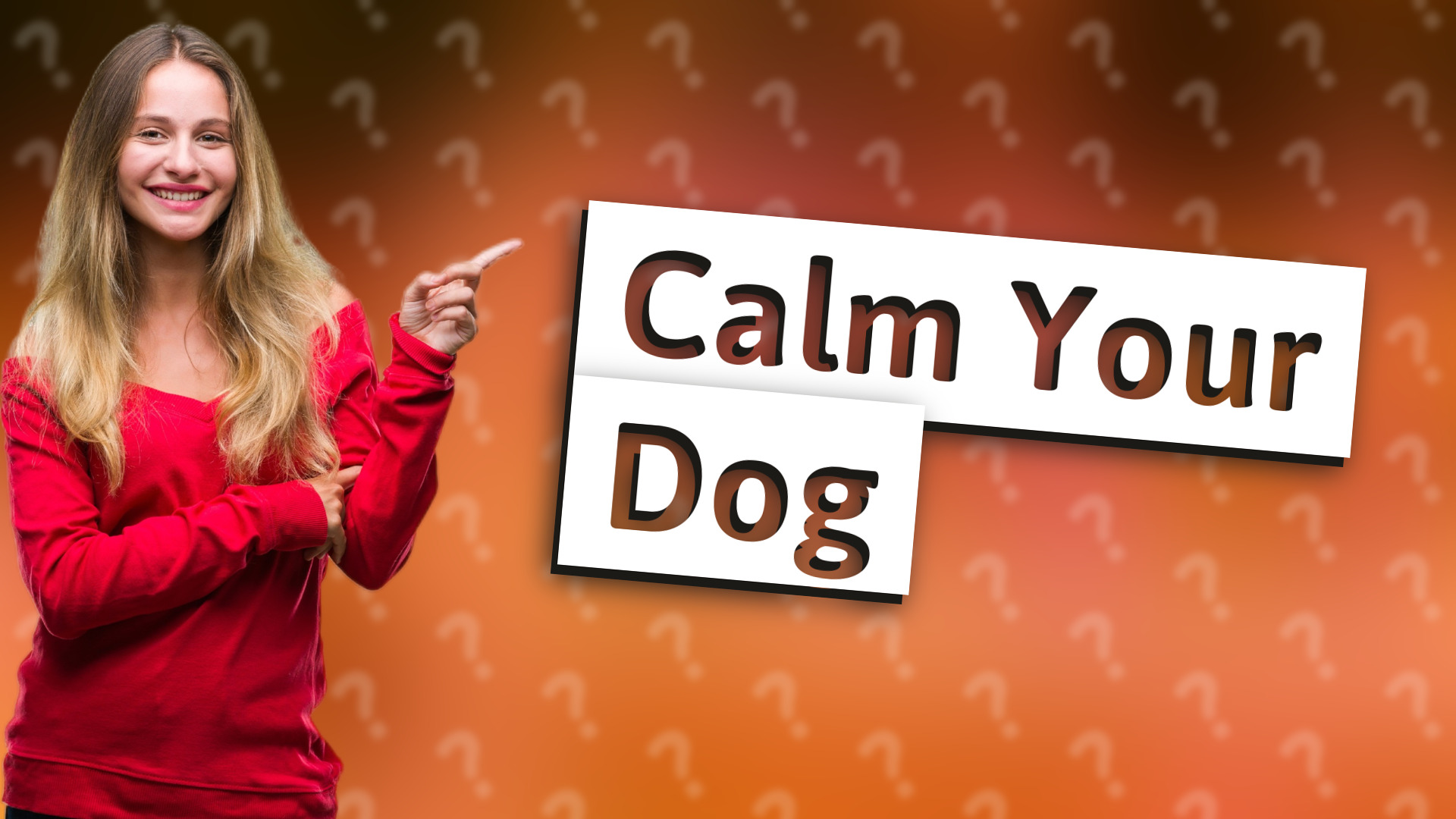 Calm Your Dog