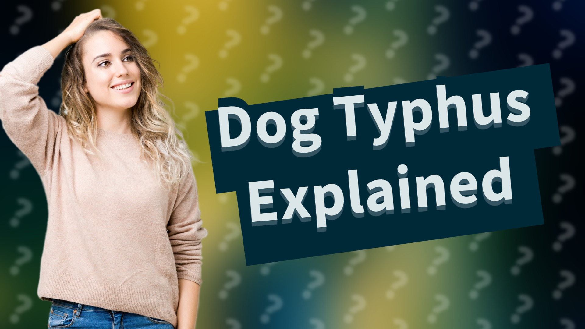 Dog Typhus Explained