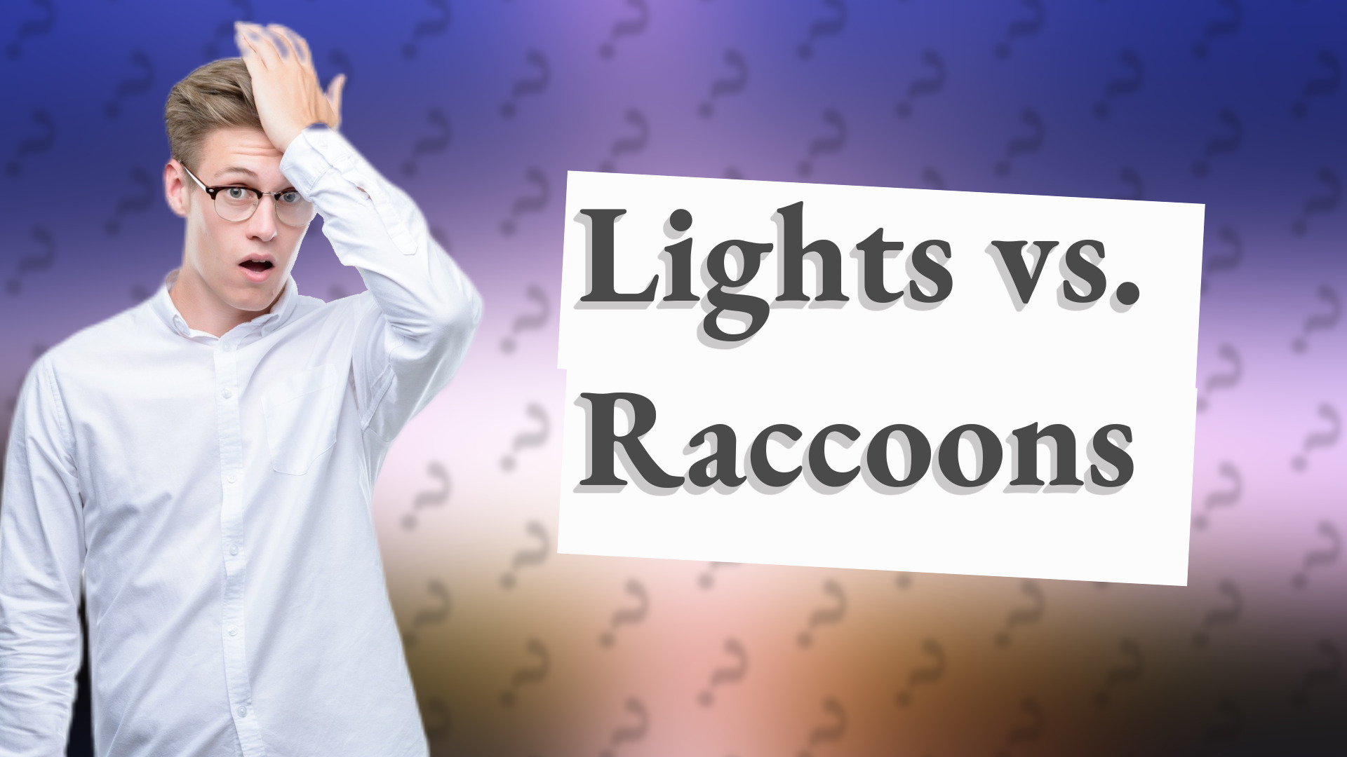 Lights vs. Raccoons
