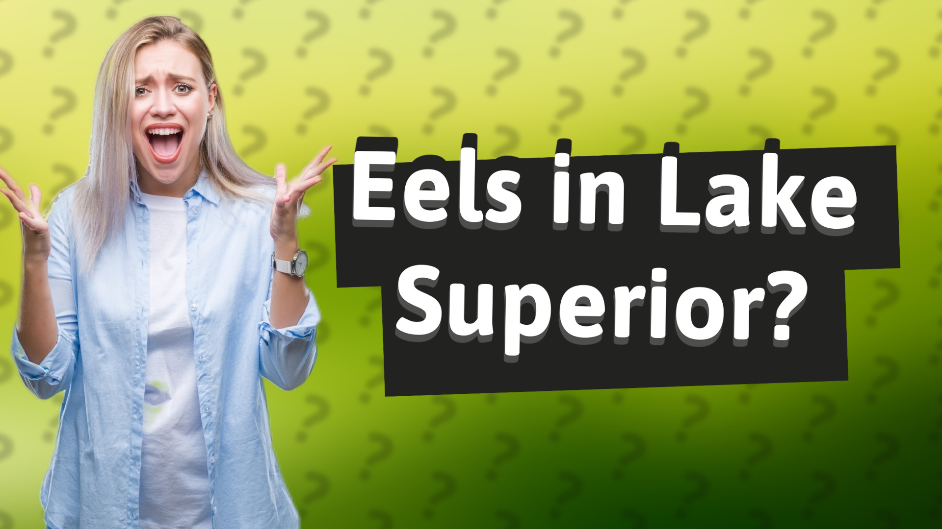 Eels in Lake Superior?