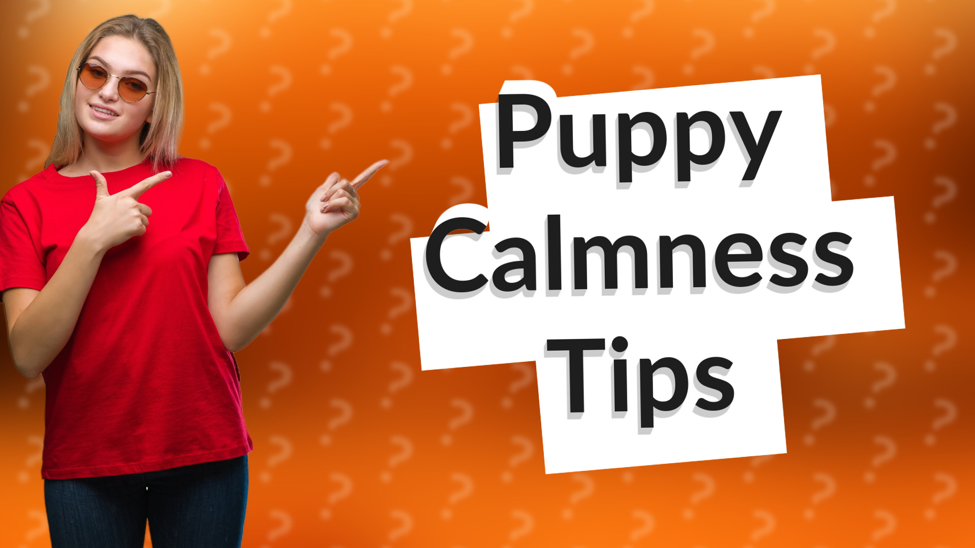 Puppy Calmness Tips