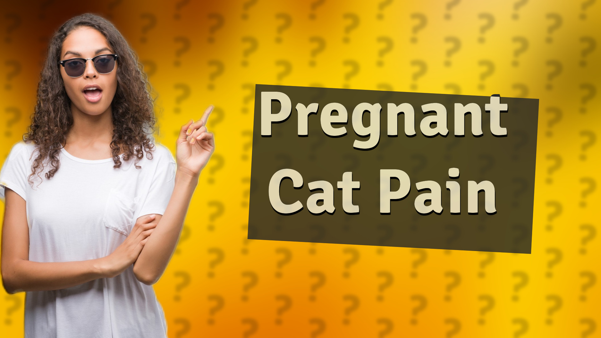 Pregnant Cat Pain