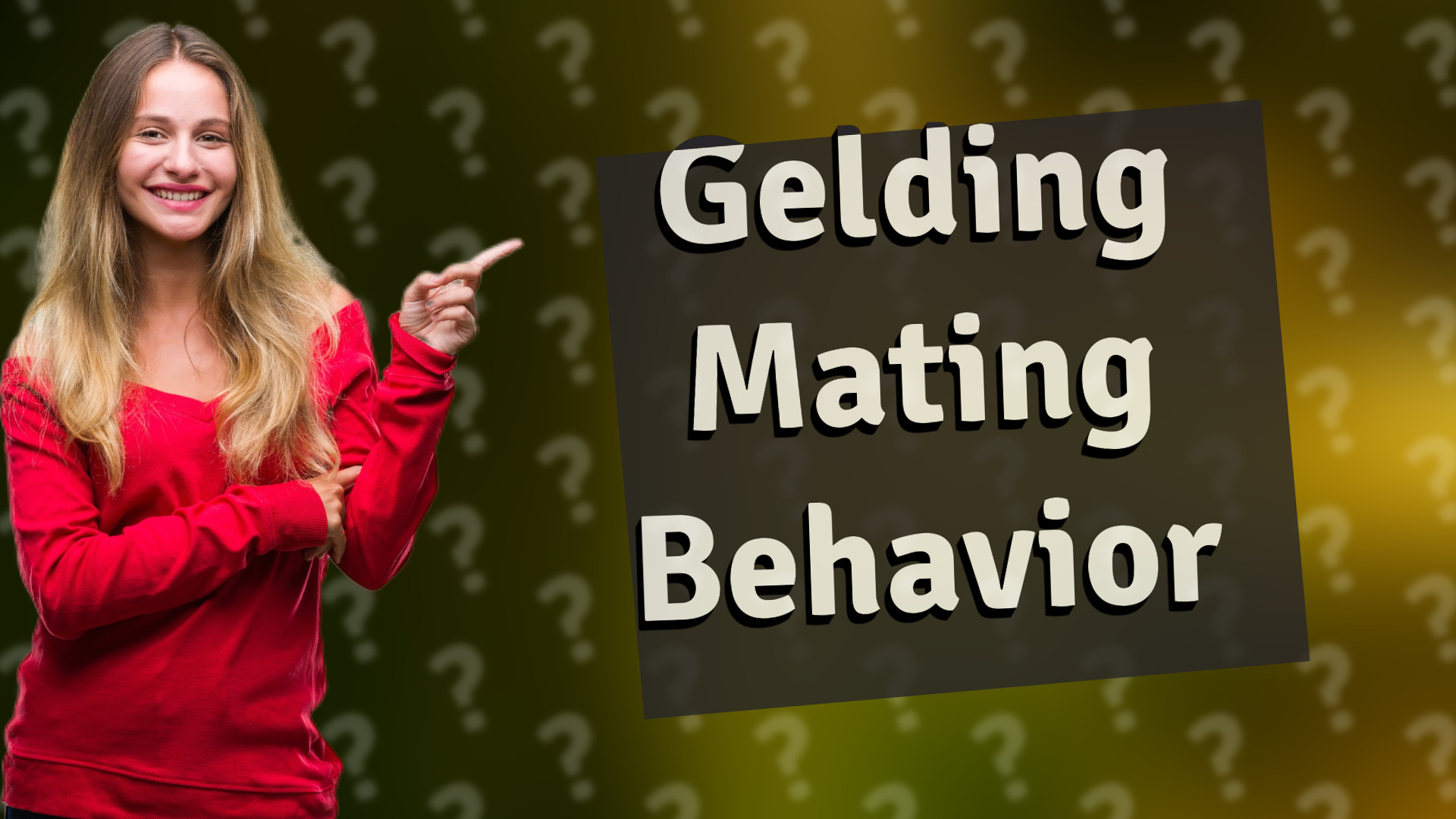 Gelding Mating Behavior