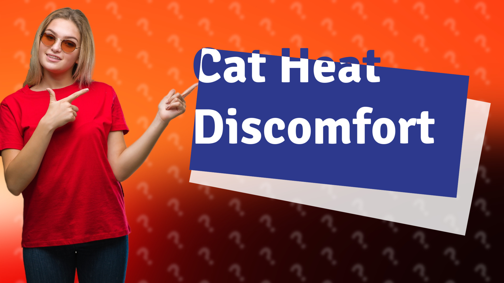 Cat Heat Discomfort