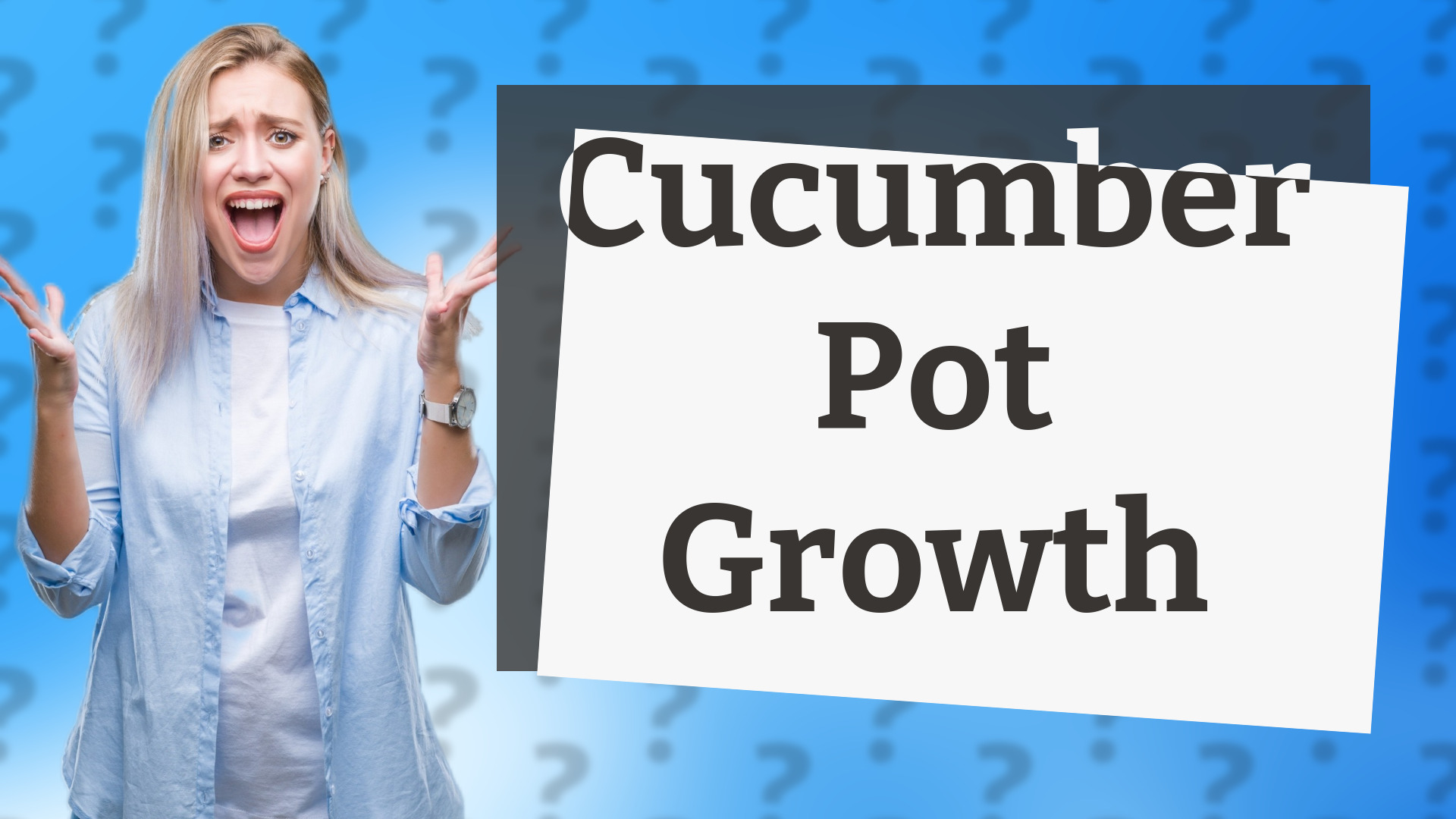Cucumber Pot Growth
