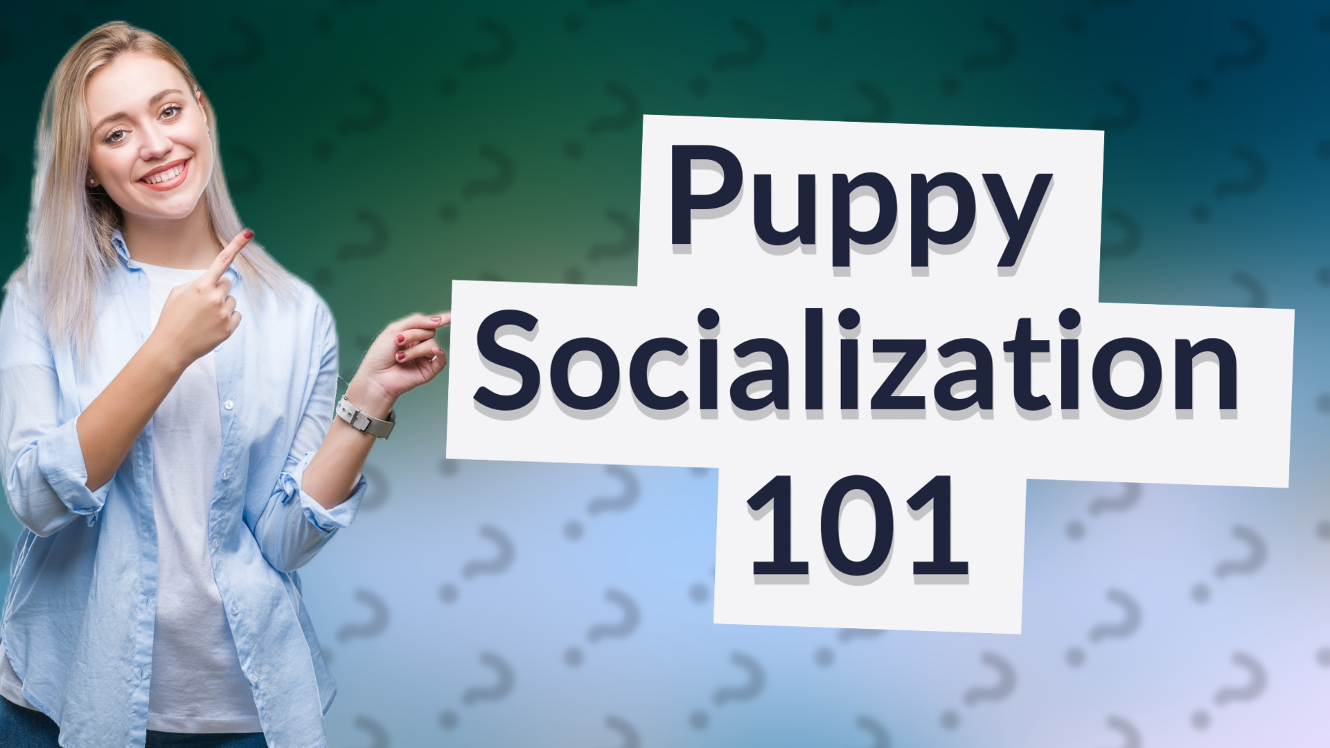 Puppy Socialization 101