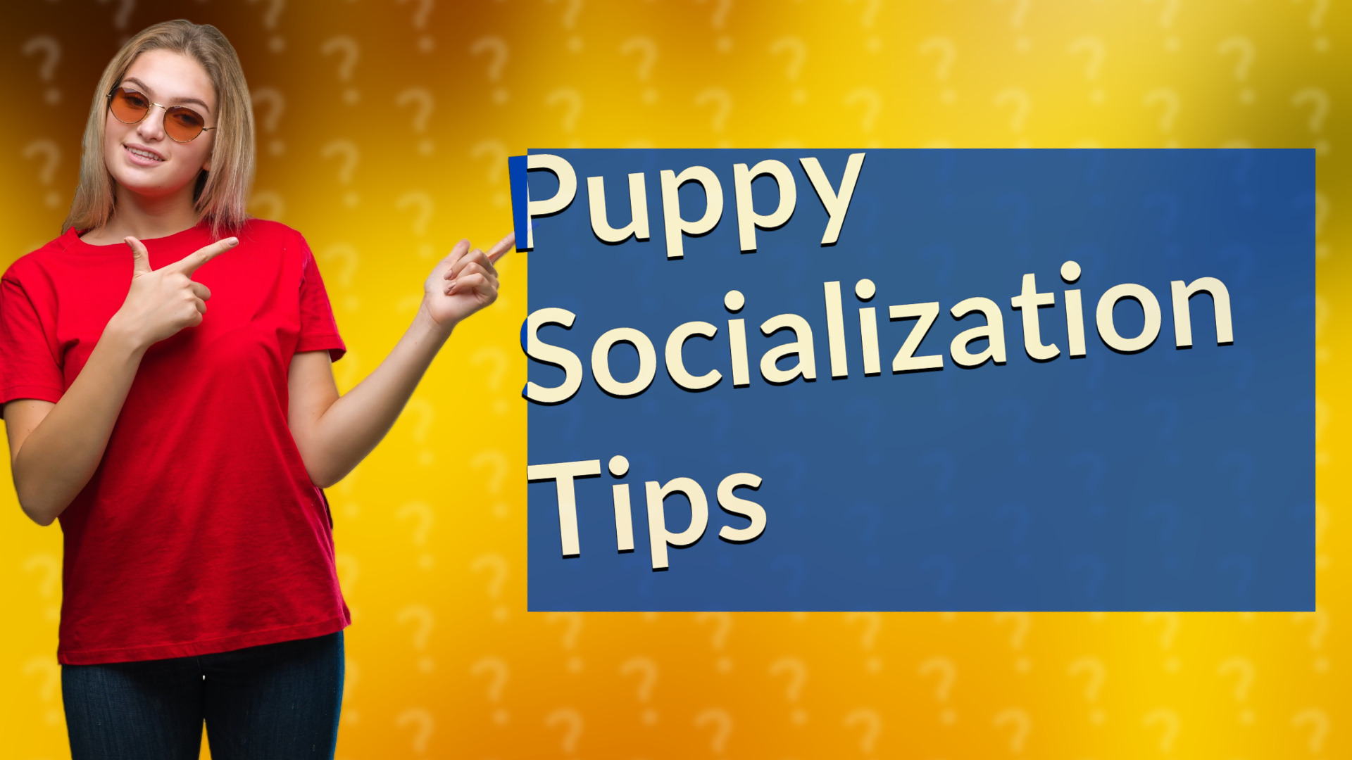 Puppy Socialization Tips