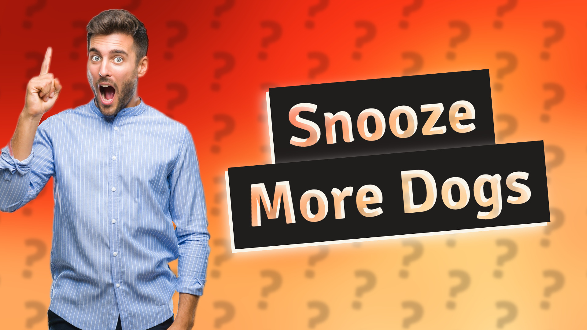 Snooze More Dogs