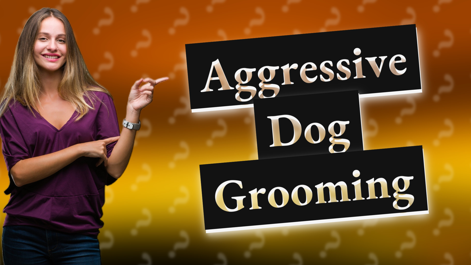 Aggressive Dog Grooming
