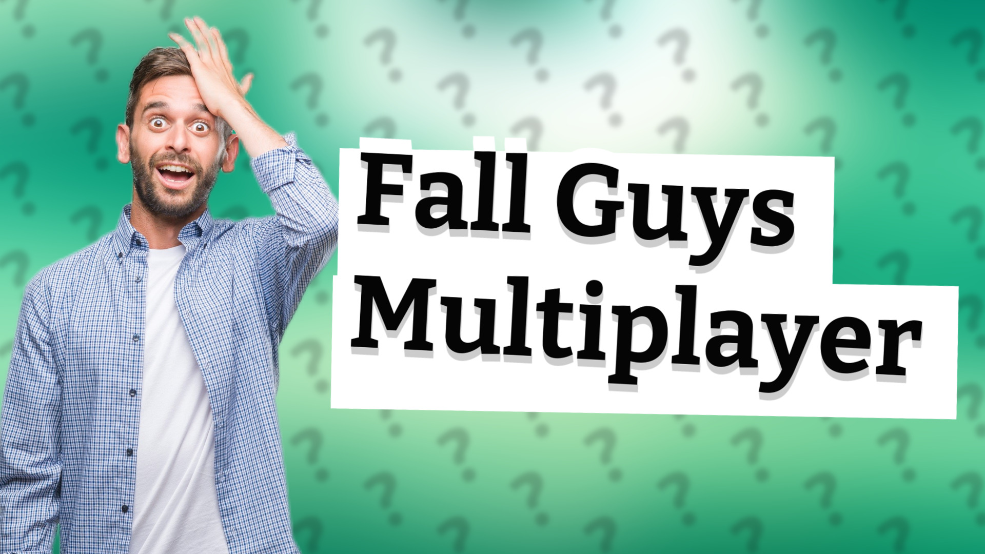 Fall Guys Multiplayer