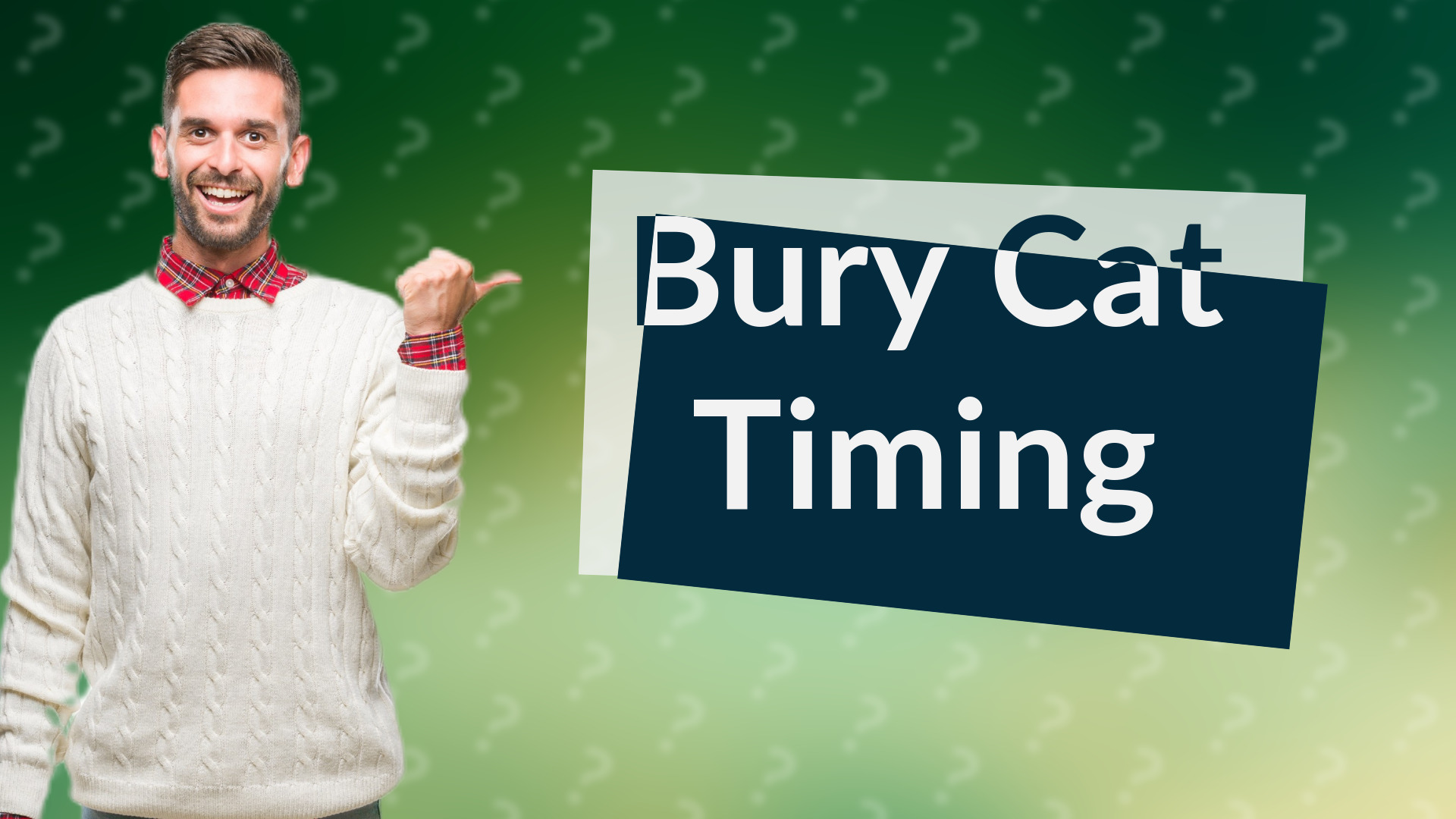 Bury Cat Timing