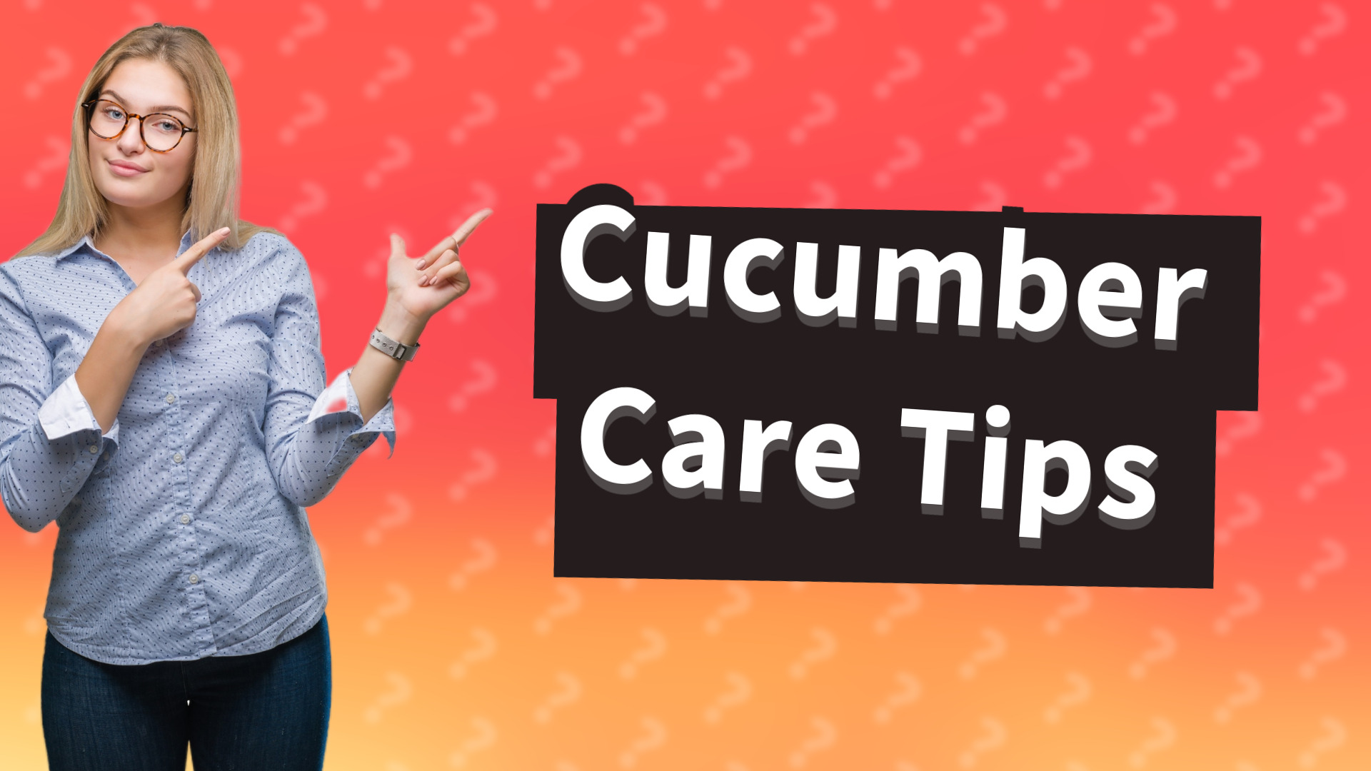 Cucumber Care Tips