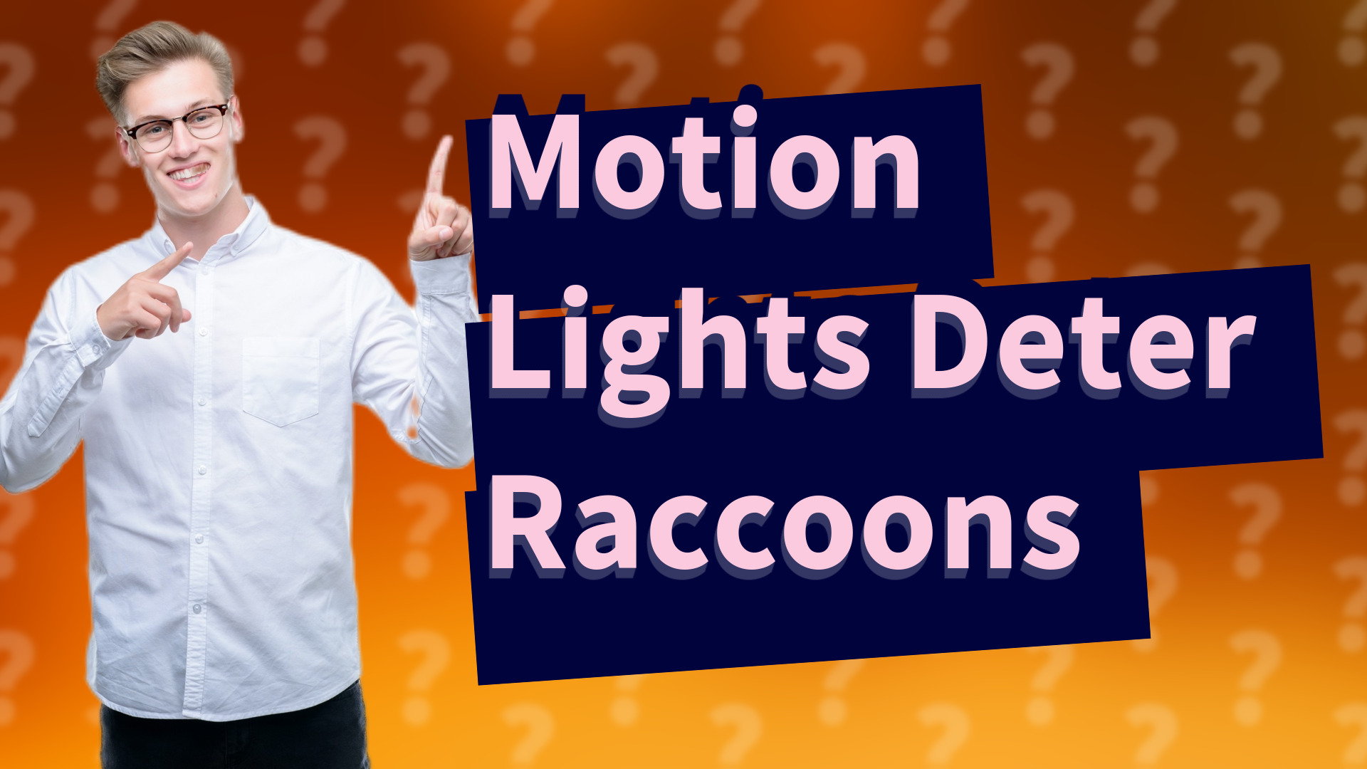 Motion Lights Deter Raccoons