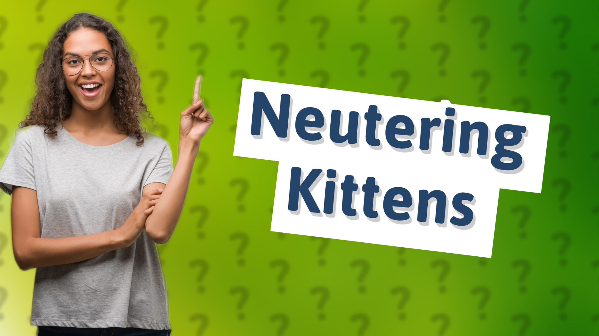 Neutering Kittens