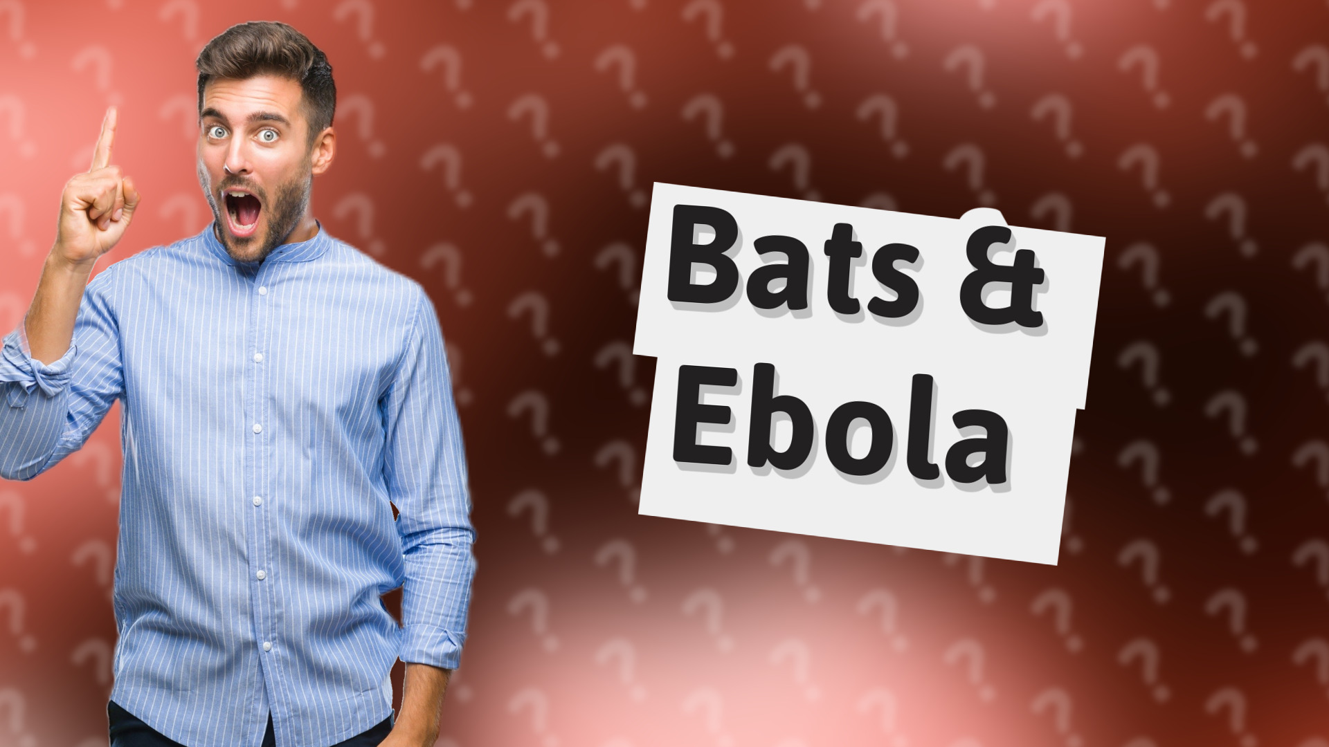 Bats & Ebola