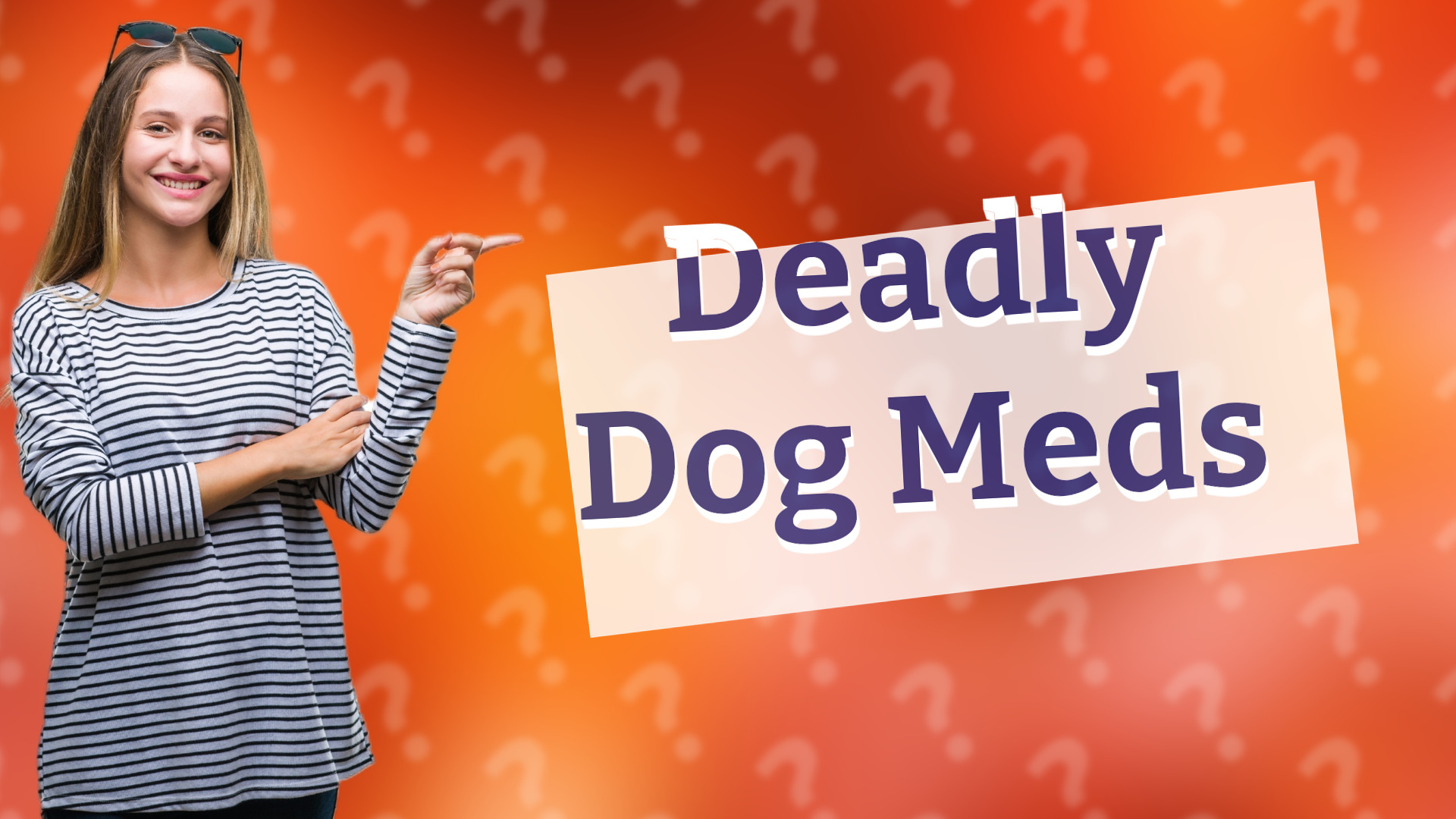 Deadly Dog Meds