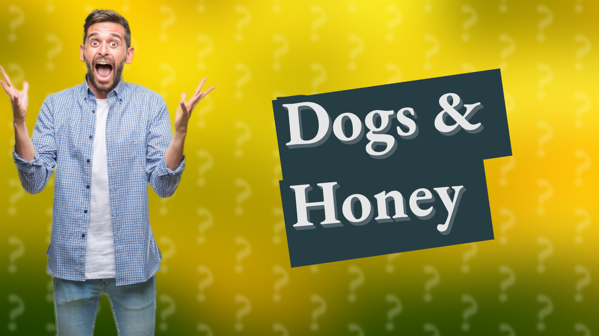 Dogs & Honey