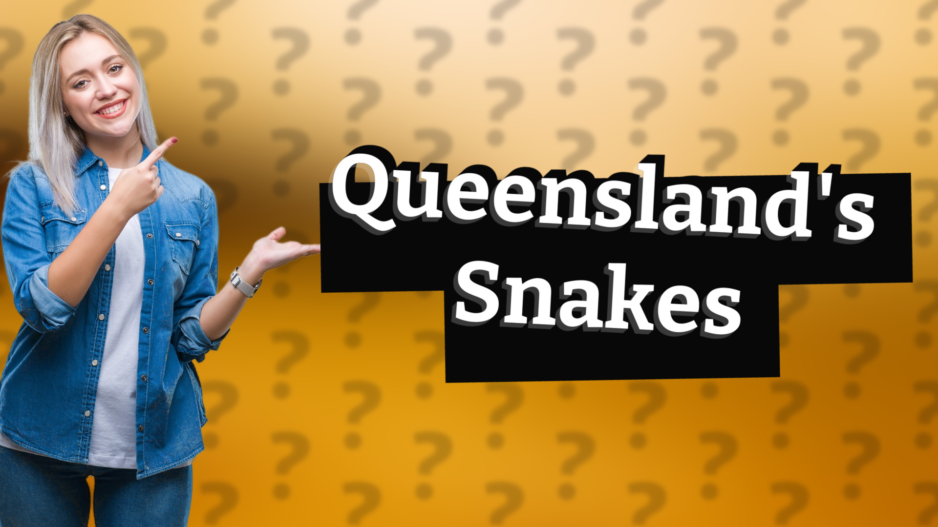 Queensland's Snakes