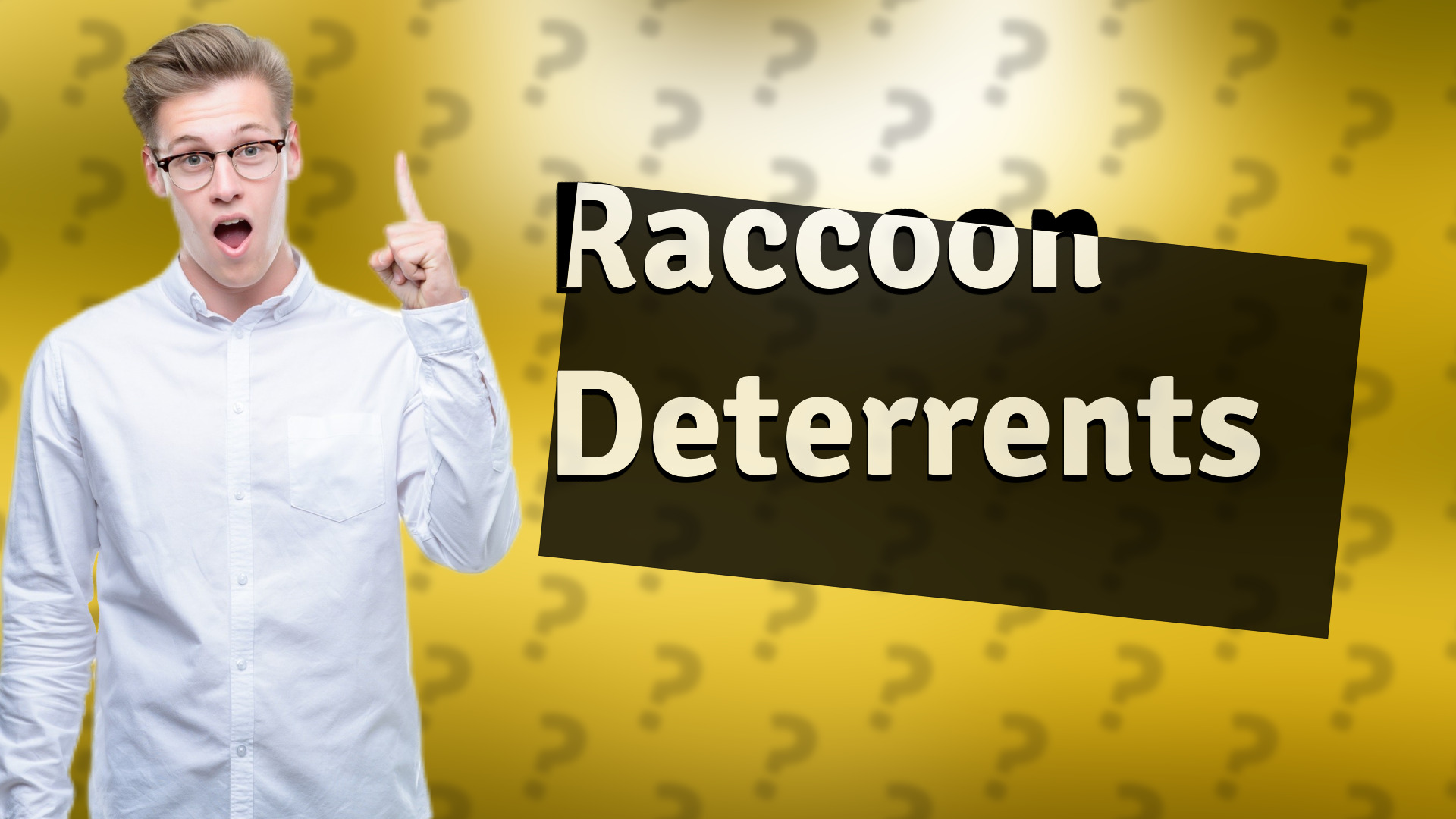 Raccoon Deterrents