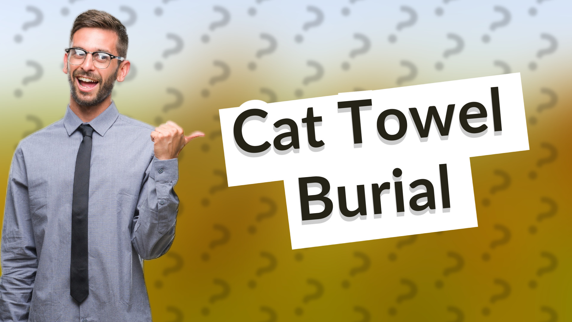 Cat Towel Burial
