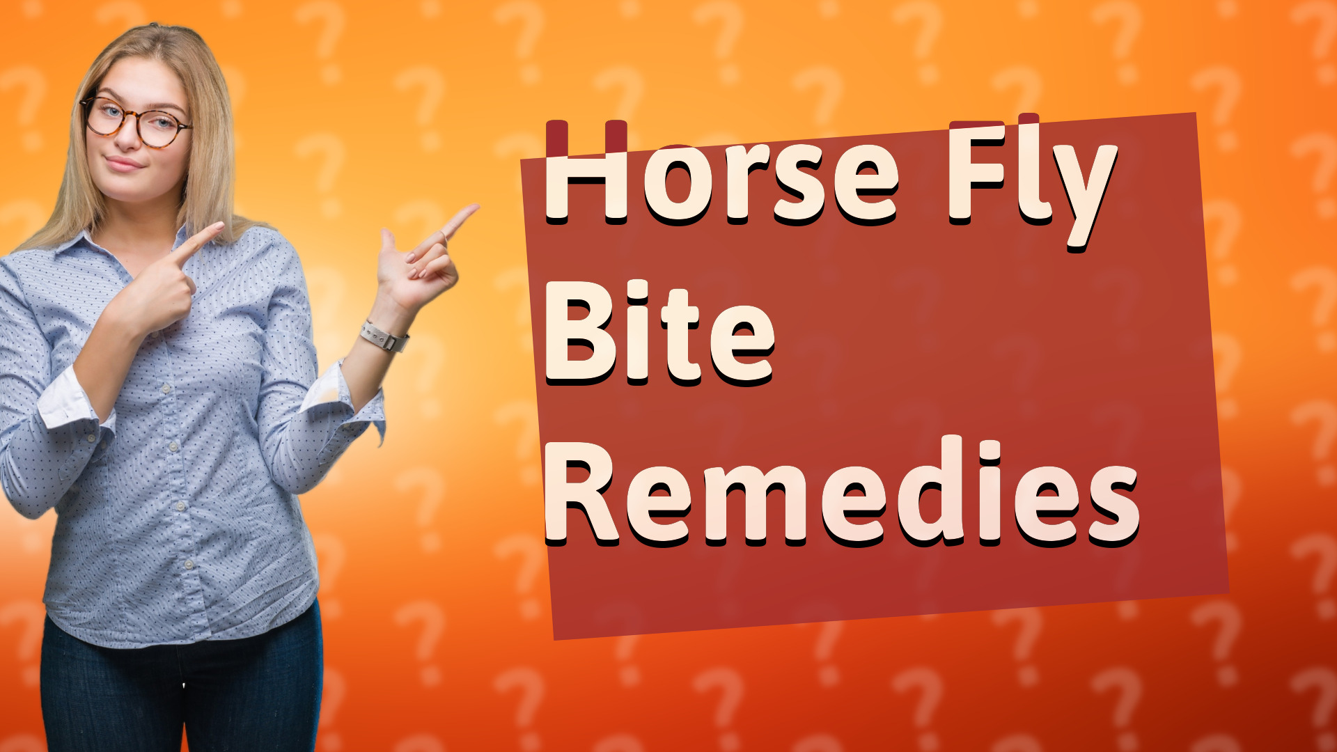 Horse Fly Bite Remedies