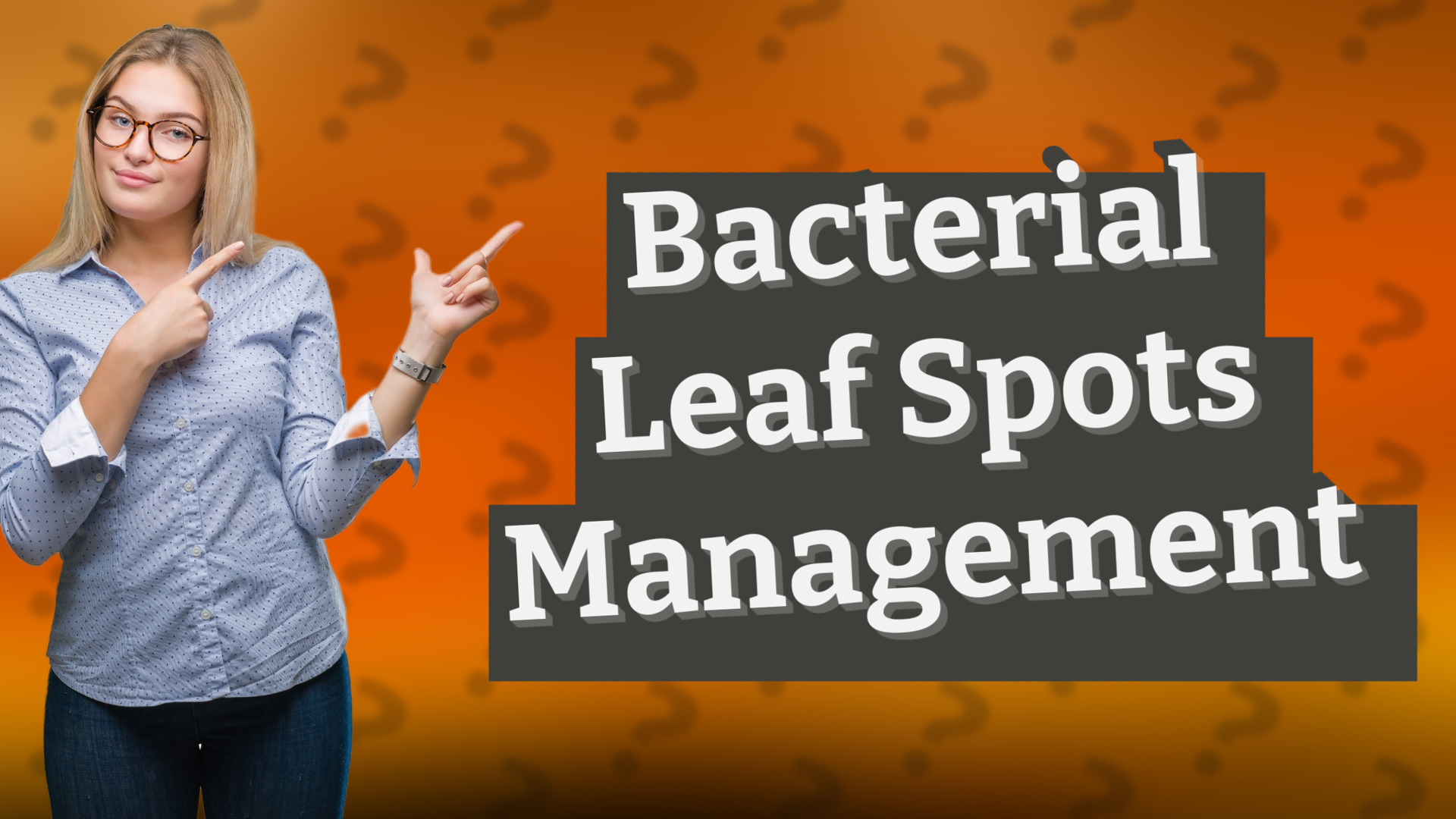 Bacterial Leaf Spots Management