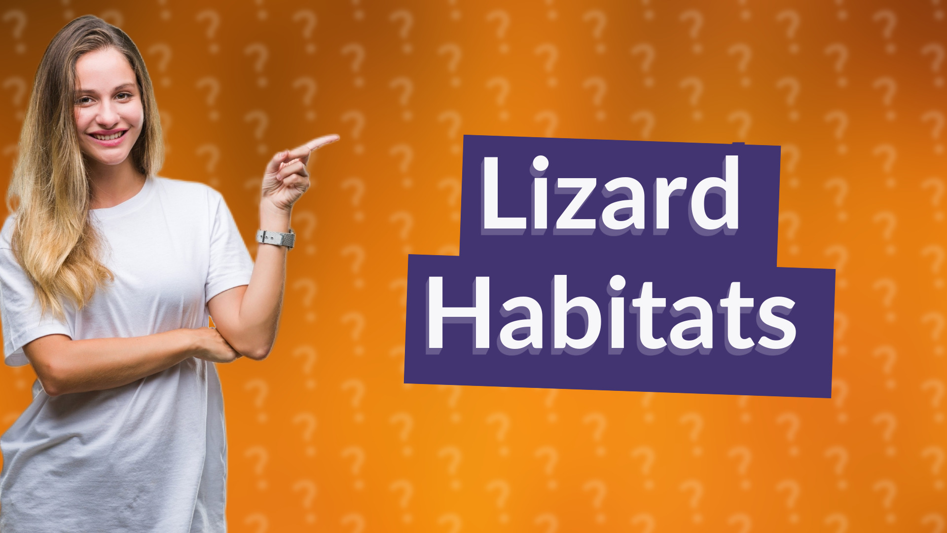 Lizard Habitats