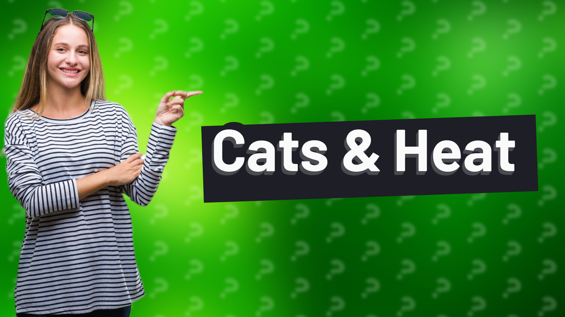 Cats & Heat