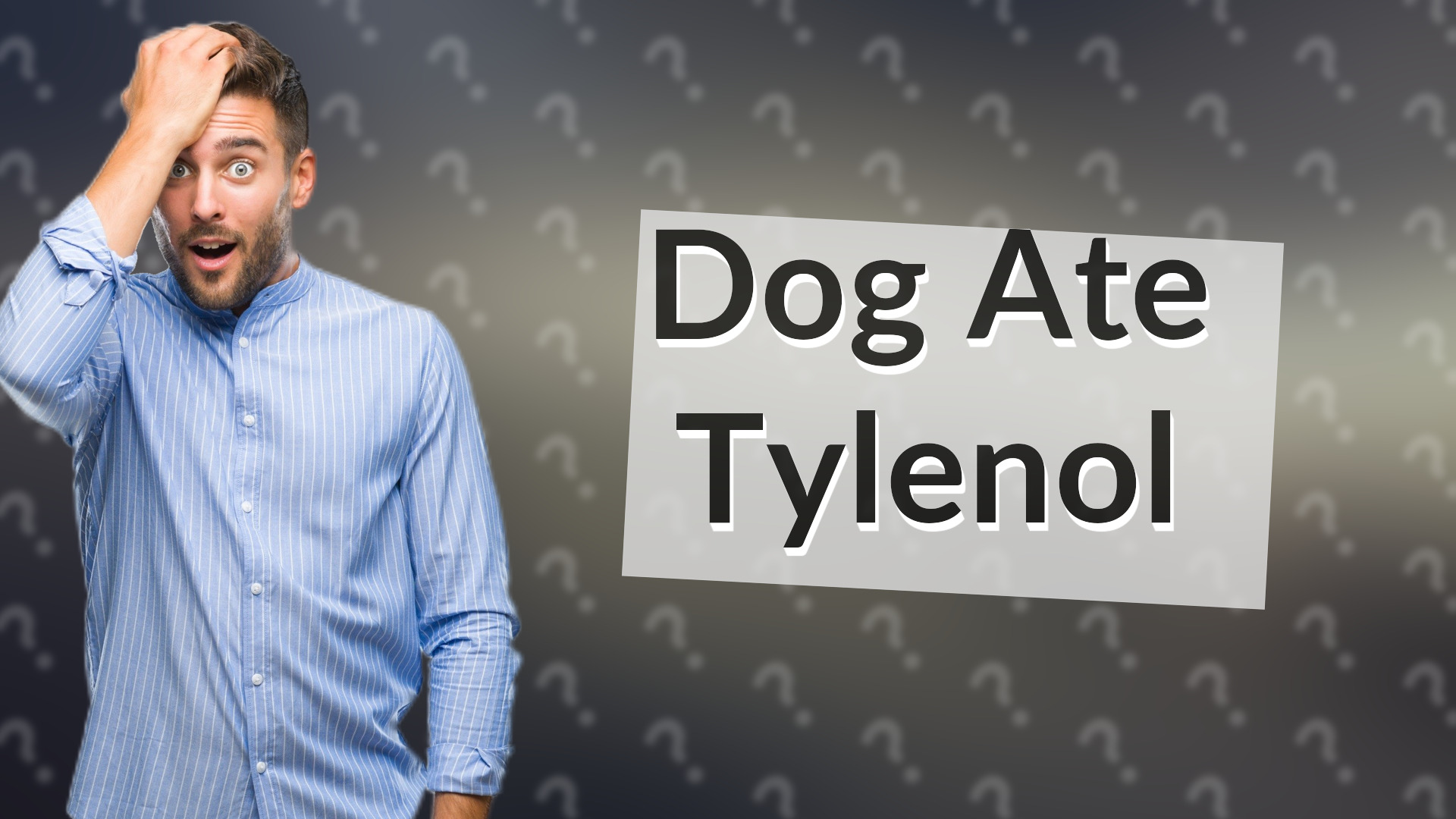 Dog Ate Tylenol