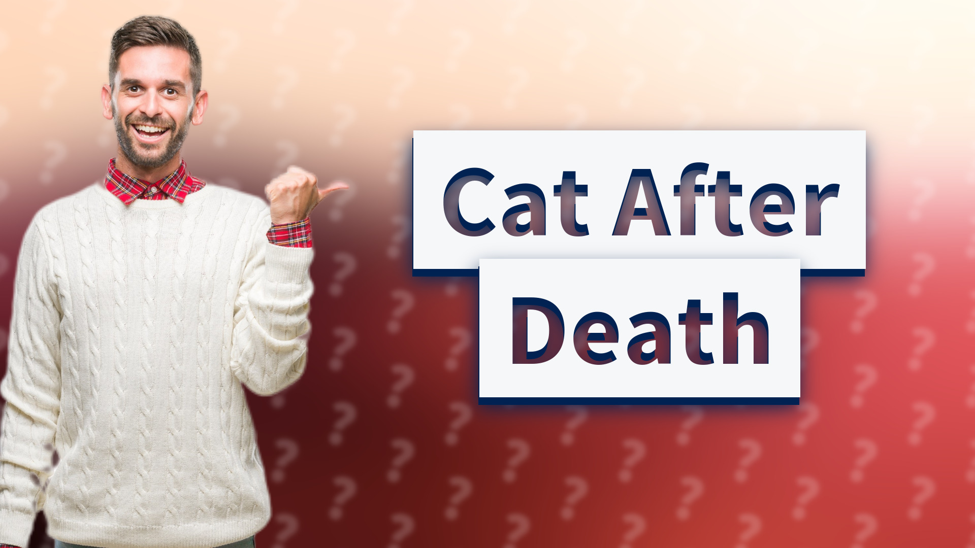 Cat After Death