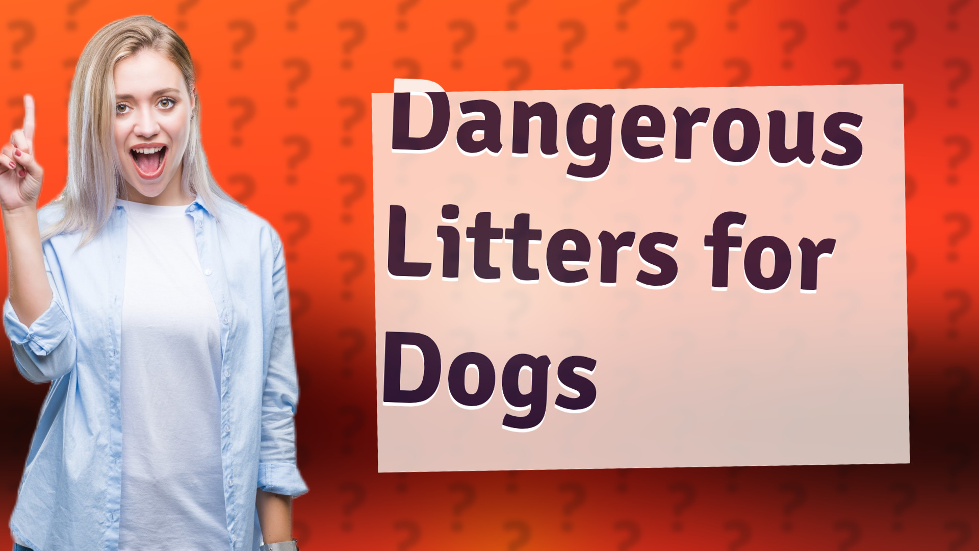 Dangerous Litters for Dogs