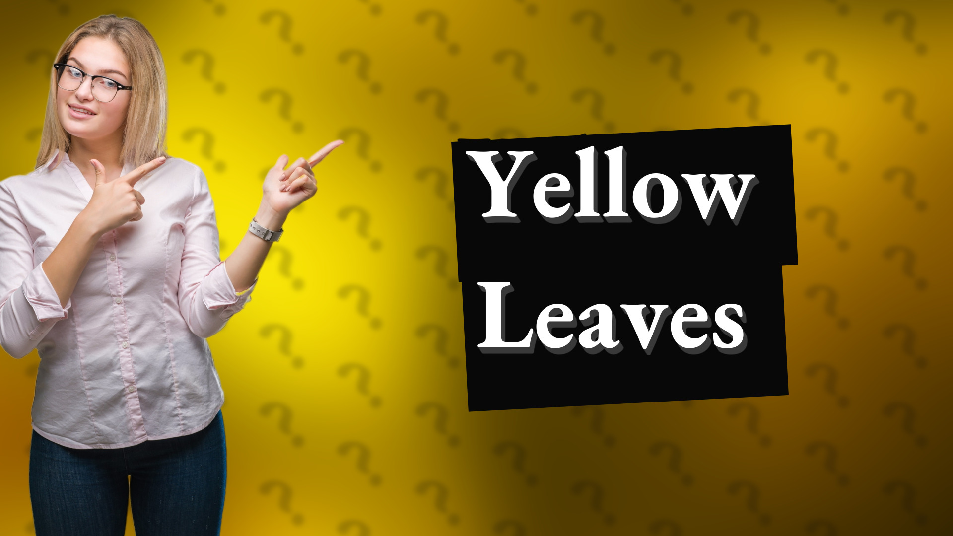 Yellow Leaves