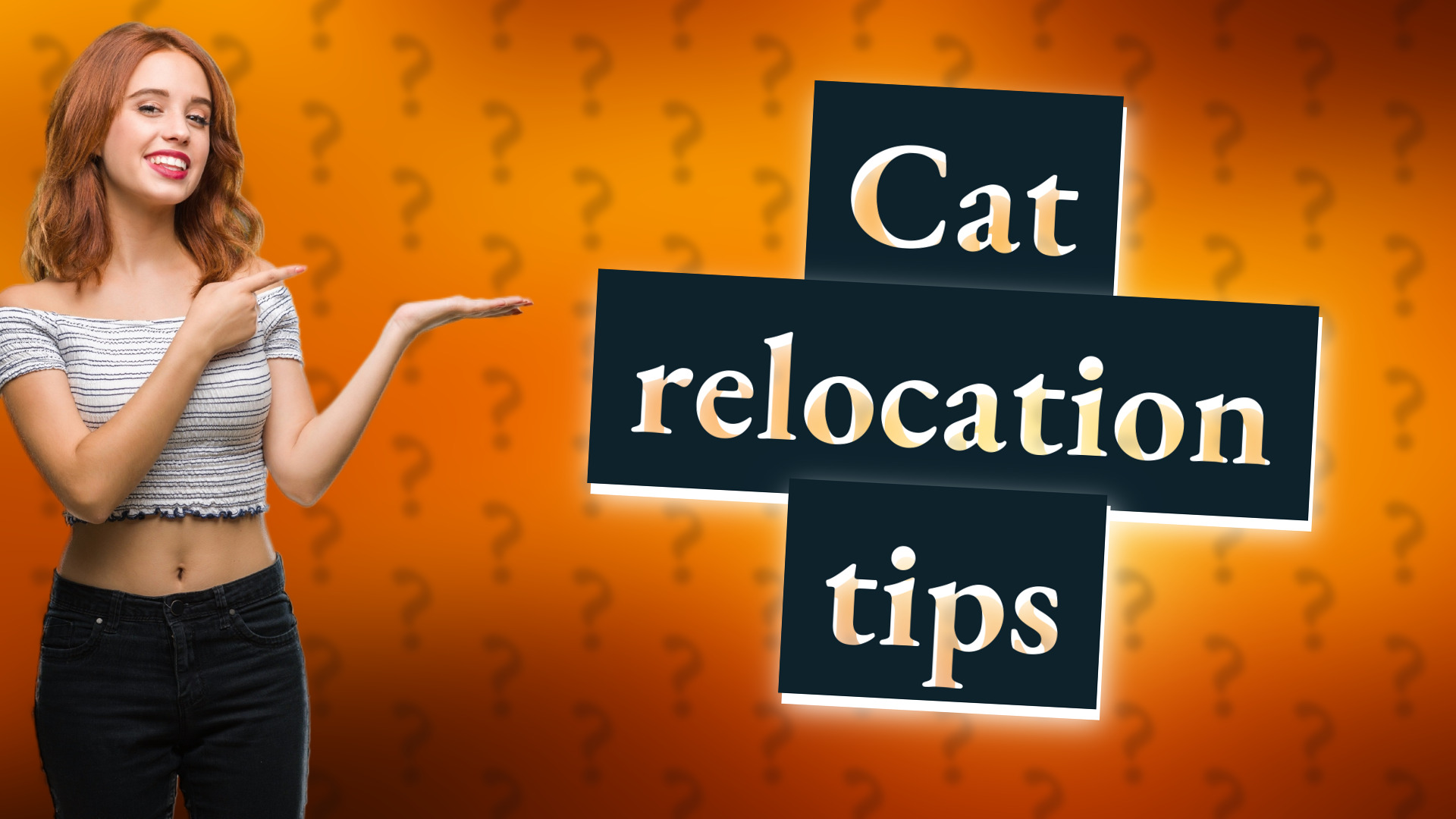 Cat relocation tips