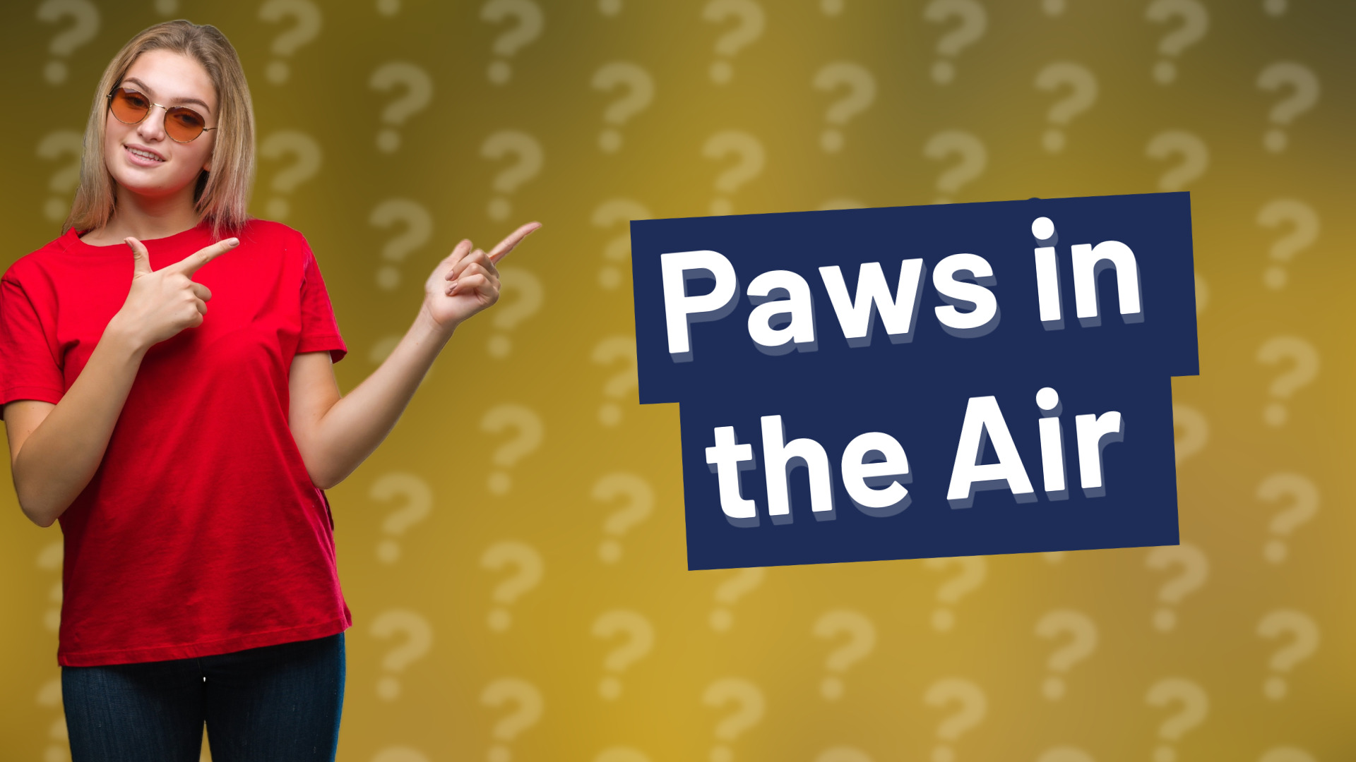 Paws in the Air