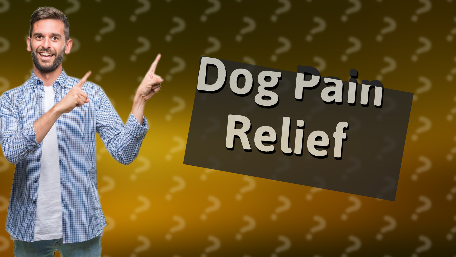 Dog Pain Relief