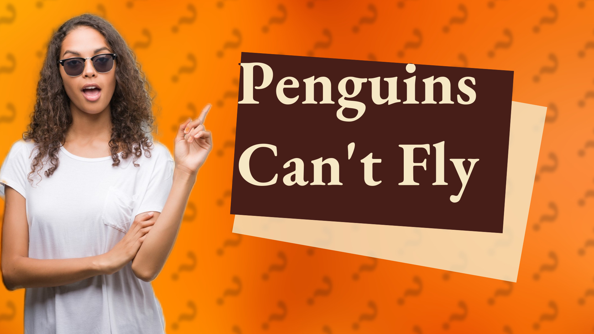 Penguins Can't Fly