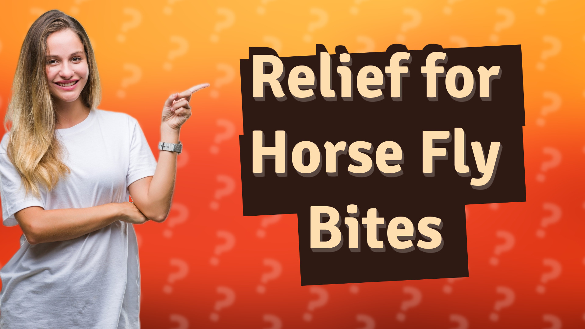 Relief for Horse Fly Bites