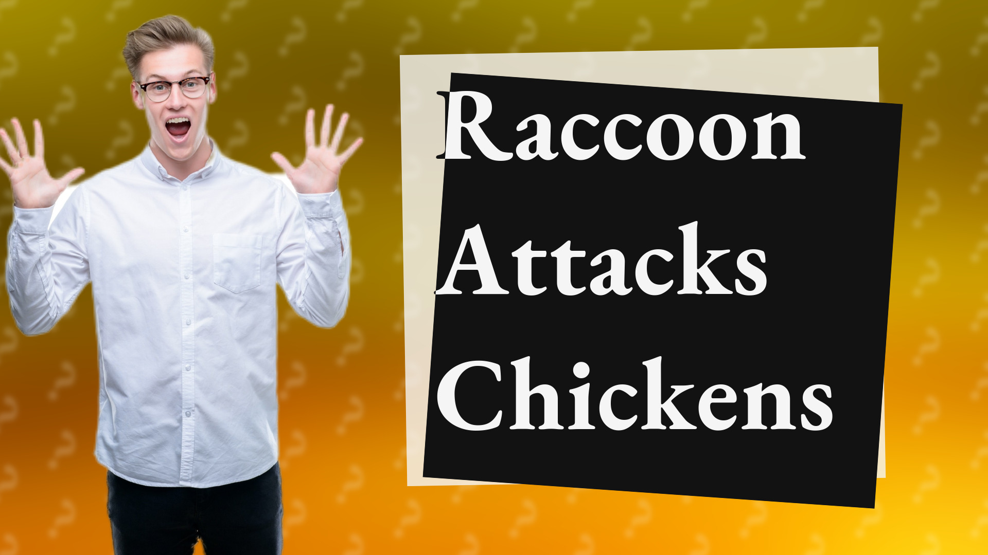 Raccoon Attacks Chickens
