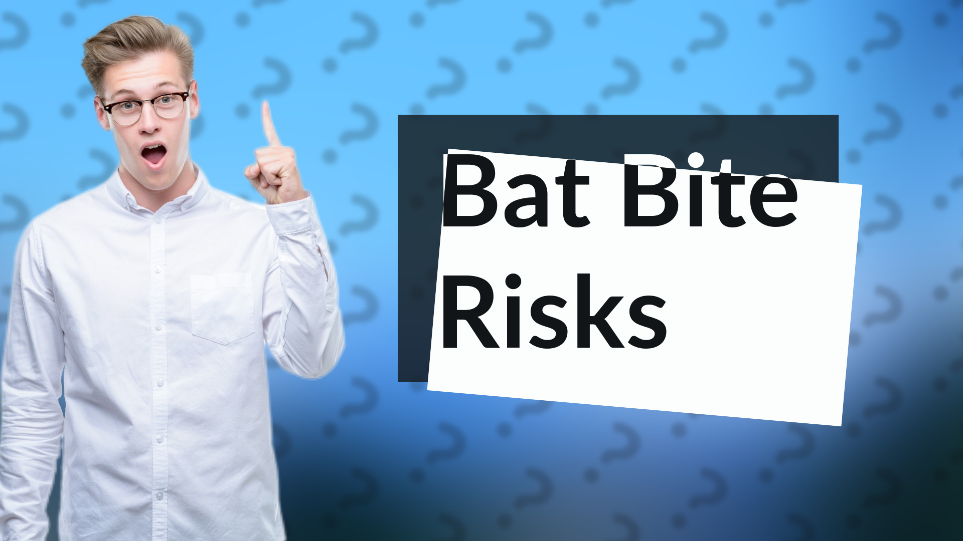Bat Bite Risks