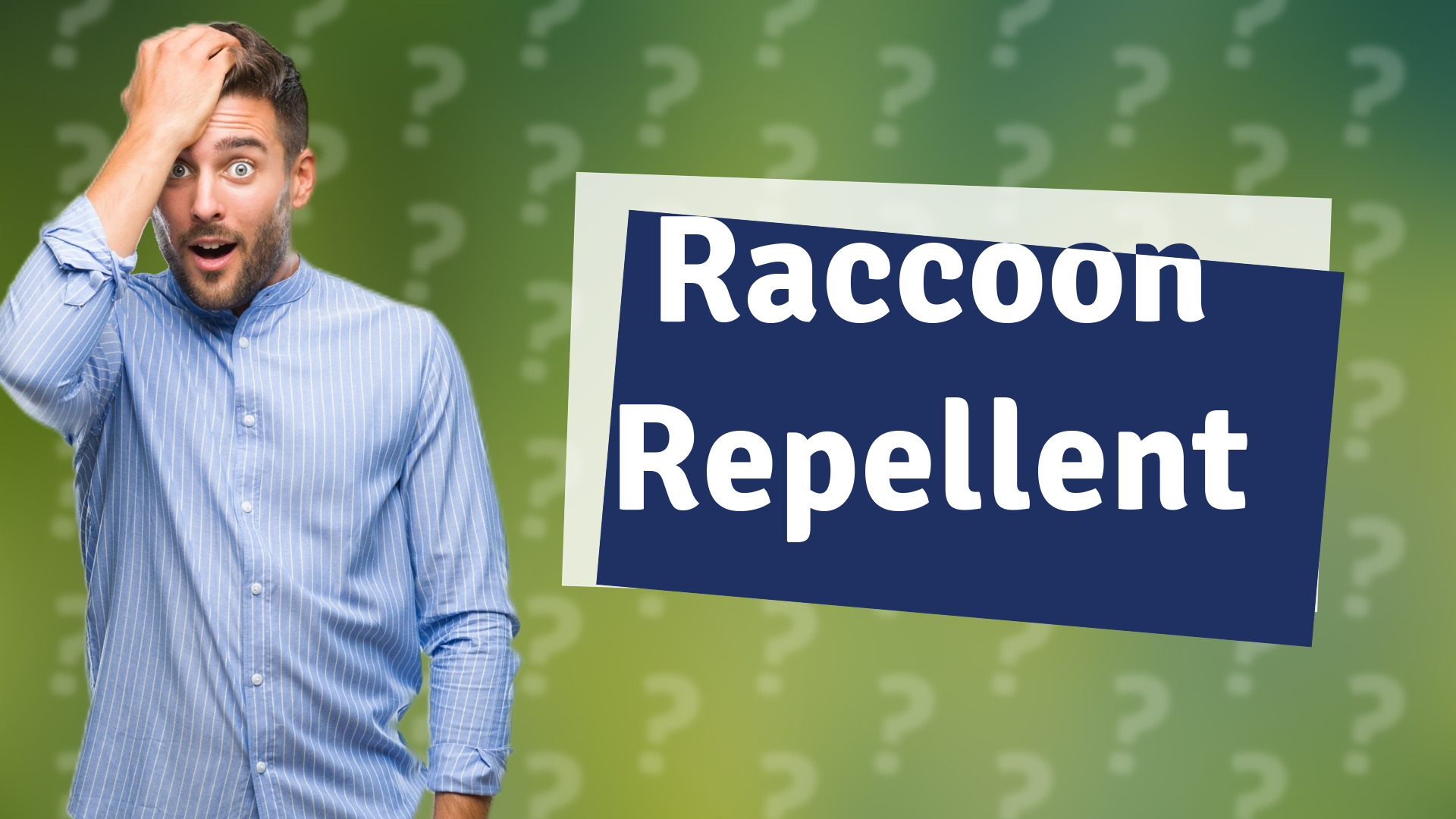 Raccoon Repellent
