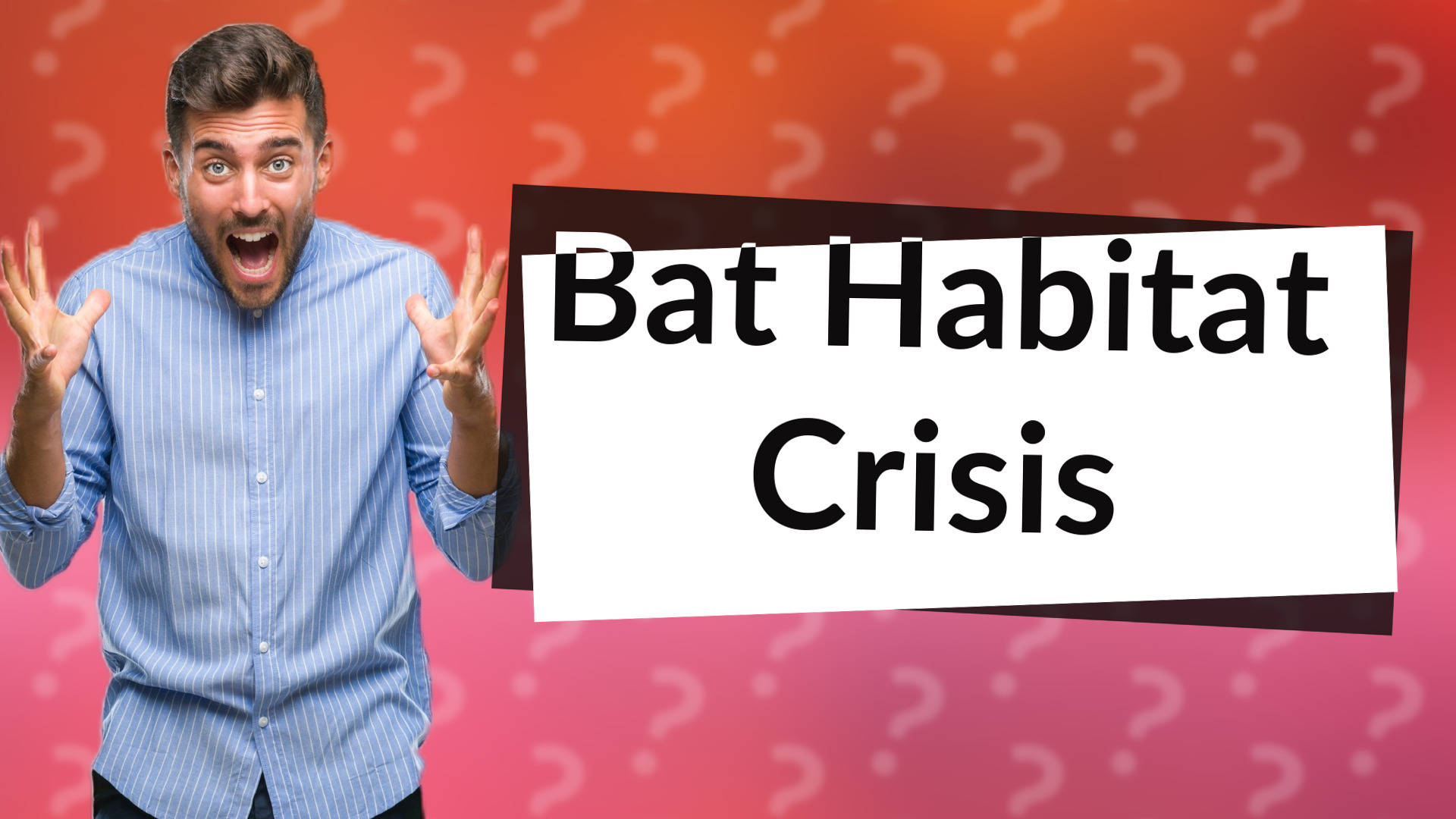 Bat Habitat Crisis