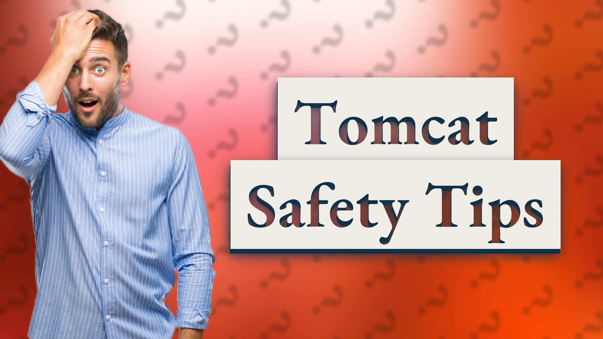 Tomcat Safety Tips