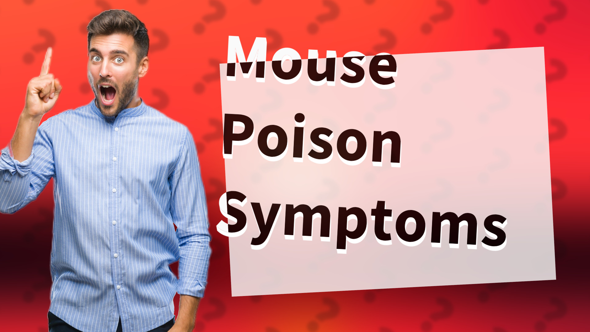 Mouse Poison Symptoms