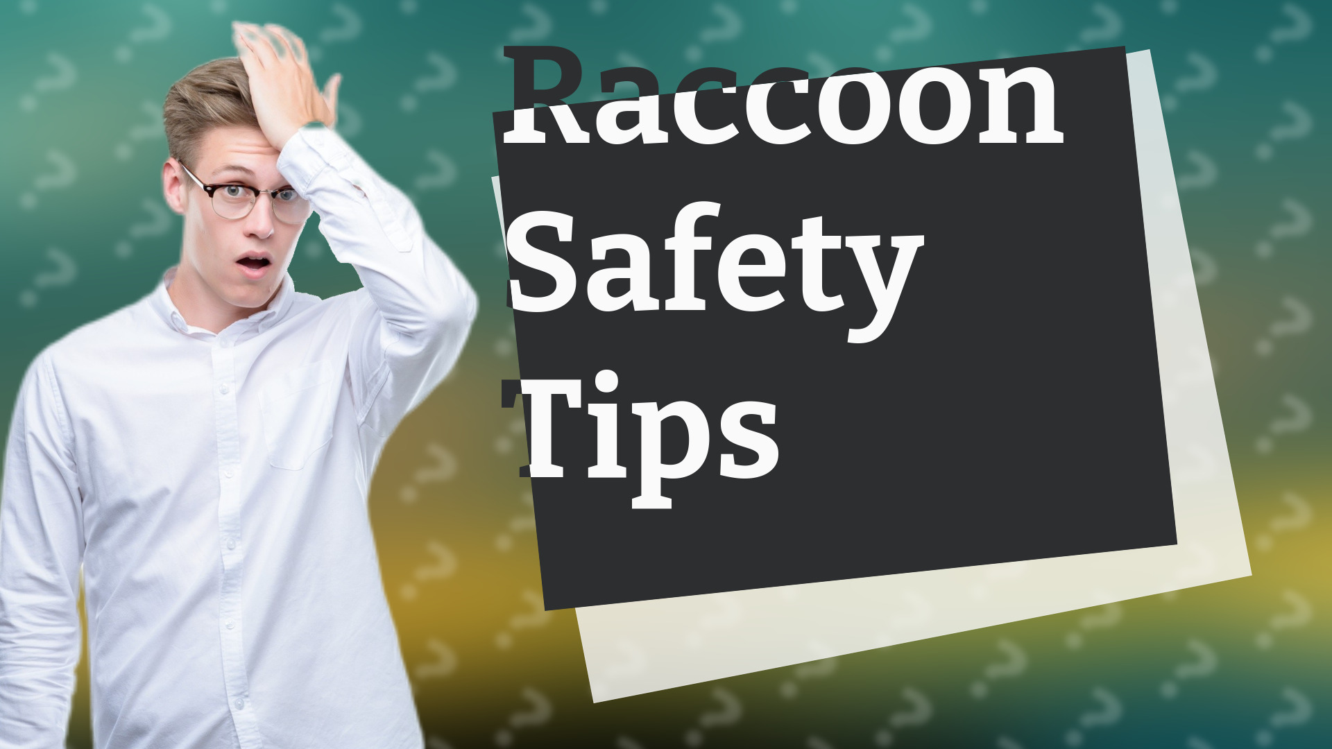 Raccoon Safety Tips