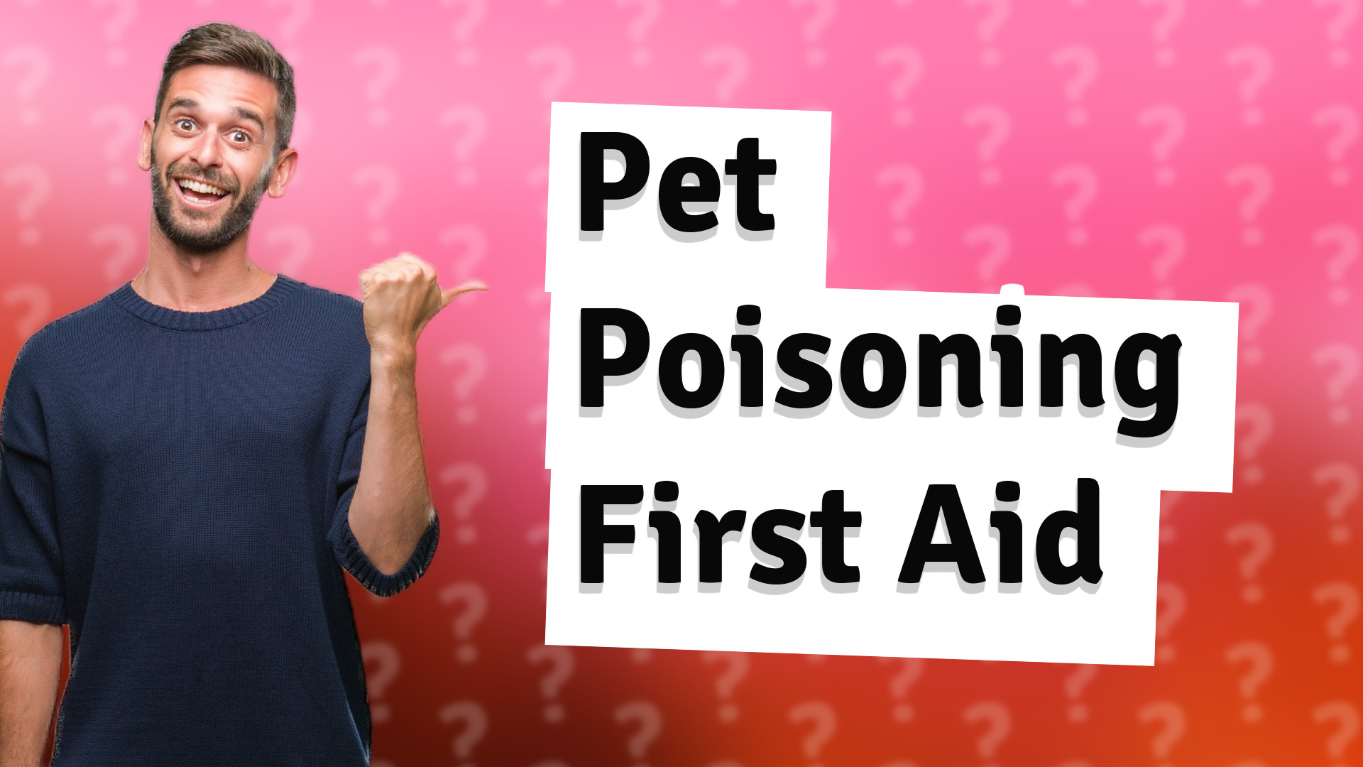 Pet Poisoning First Aid