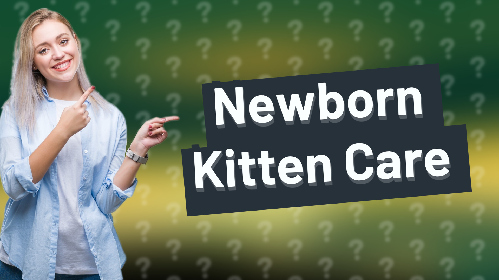 Newborn Kitten Care