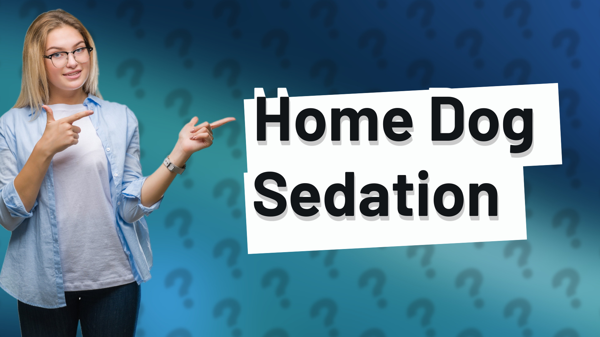 Home Dog Sedation